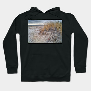 Fall Dunes Hoodie